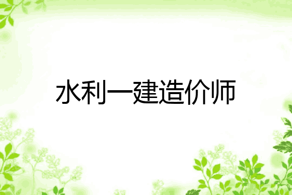 水利一建造价师