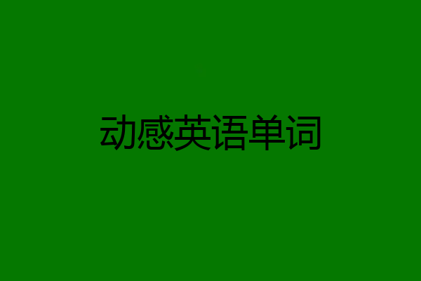 动感英语单词
