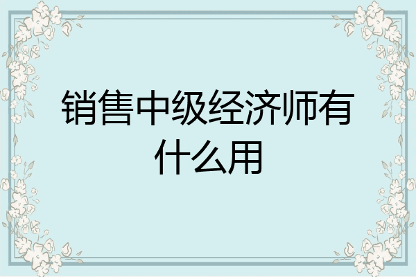 销售中级经济师有什么用