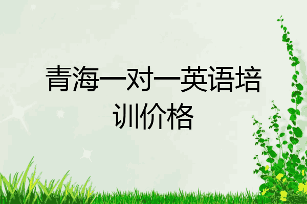 青海一对一英语培训价格