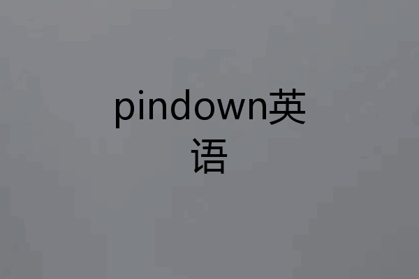 pindown英语