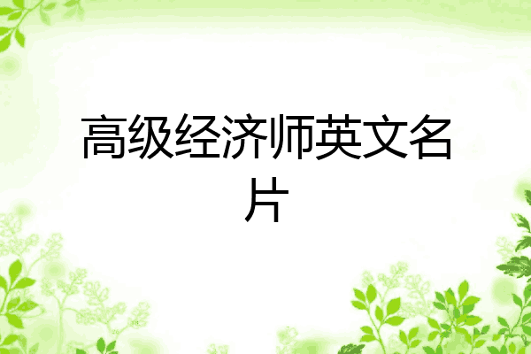 高级经济师英文名片