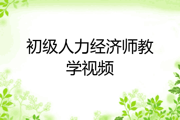初级人力经济师教学视频