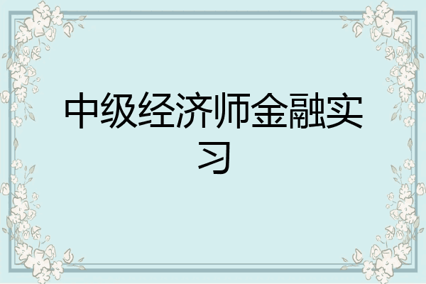 中级经济师金融实习
