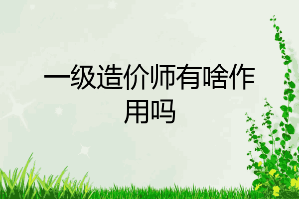 一级造价师有啥作用吗