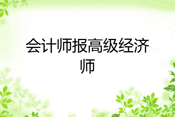 会计师报高级经济师