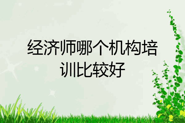 经济师哪个机构培训比较好