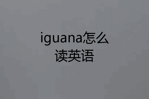 iguana怎么读英语