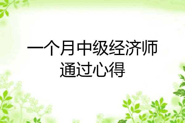 一个月中级经济师通过心得
