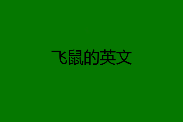 飞鼠的英文