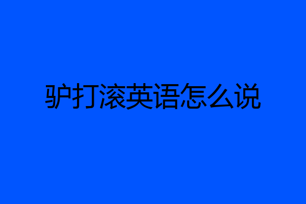 驴打滚英语怎么说