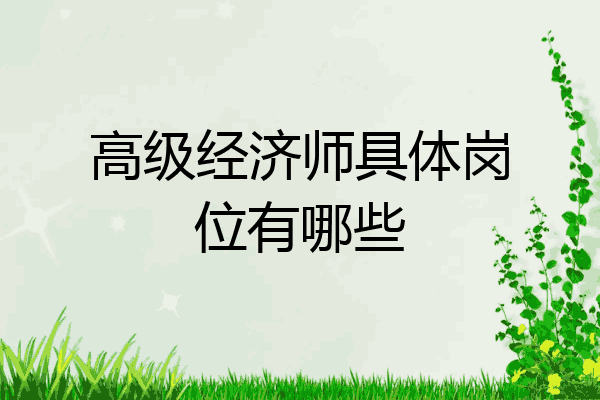 高级经济师具体岗位有哪些