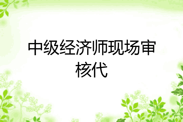 中级经济师现场审核代