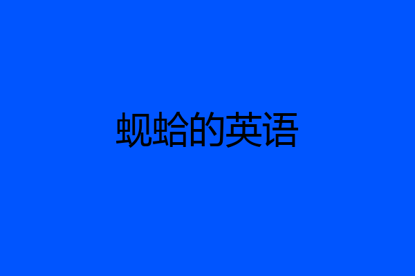 蚬蛤的英语