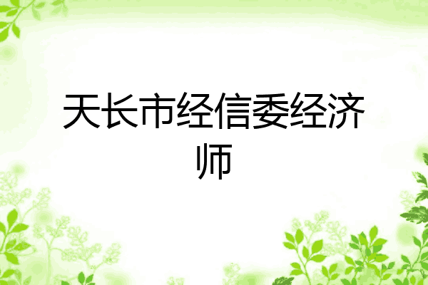 天长市经信委经济师