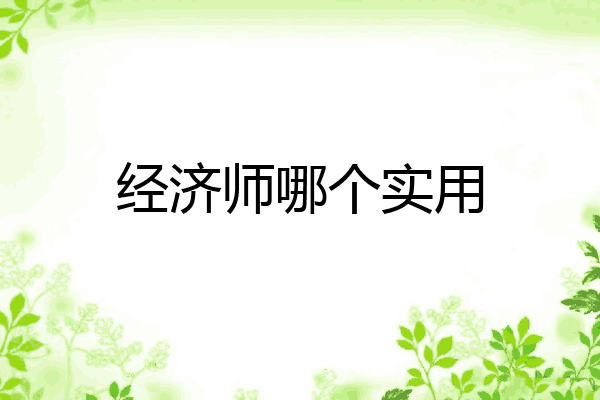 经济师哪个实用