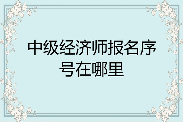 中级经济师报名序号在哪里