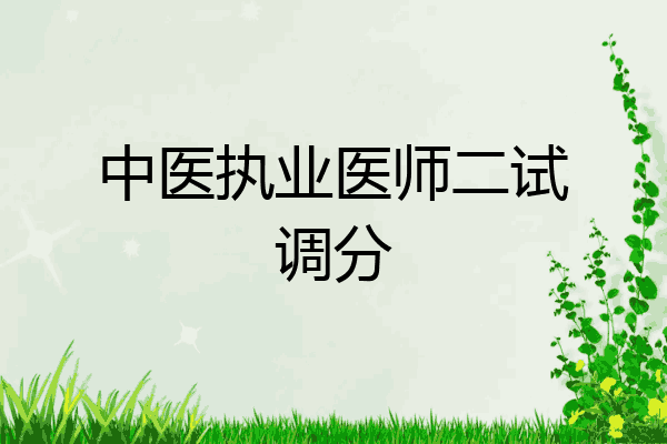中医执业医师二试调分
