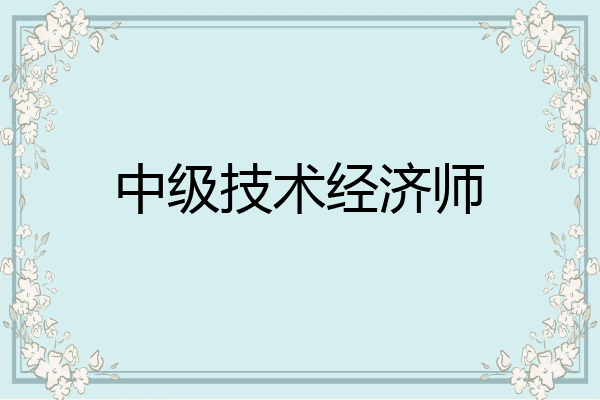 中级技术经济师