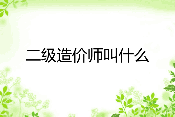 二级造价师叫什么