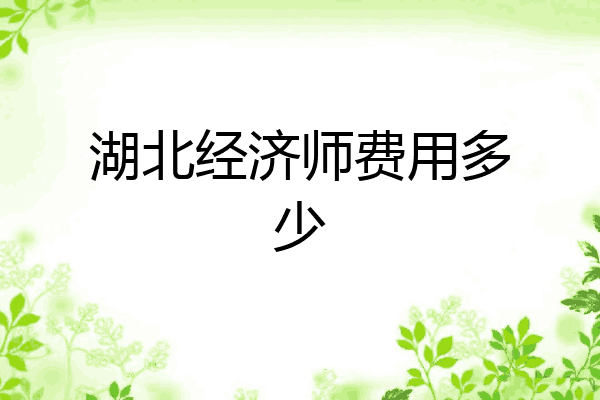 湖北经济师费用多少