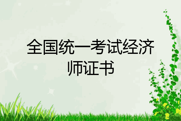 全国统一考试经济师证书
