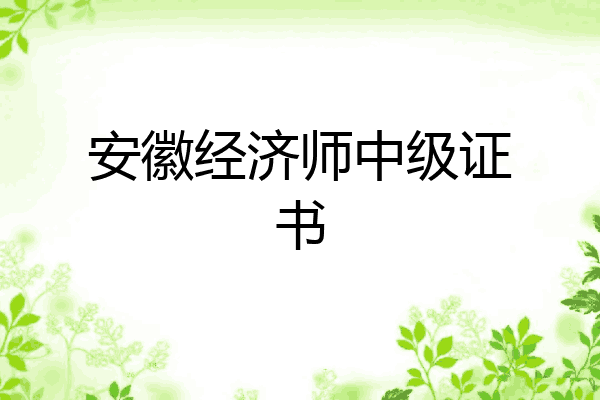 安徽经济师中级证书