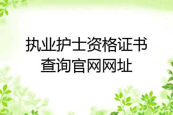 执业护士资格证书查询官网网址