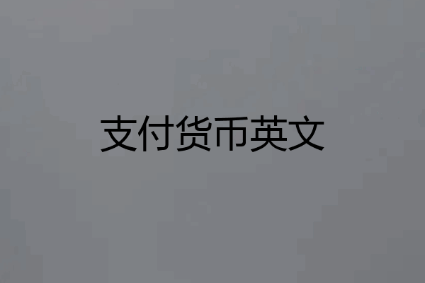 支付货币英文