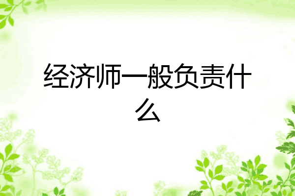 经济师一般负责什么