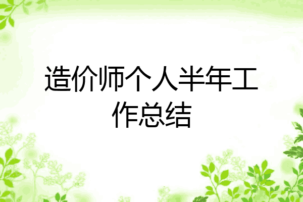 造价师个人半年工作总结