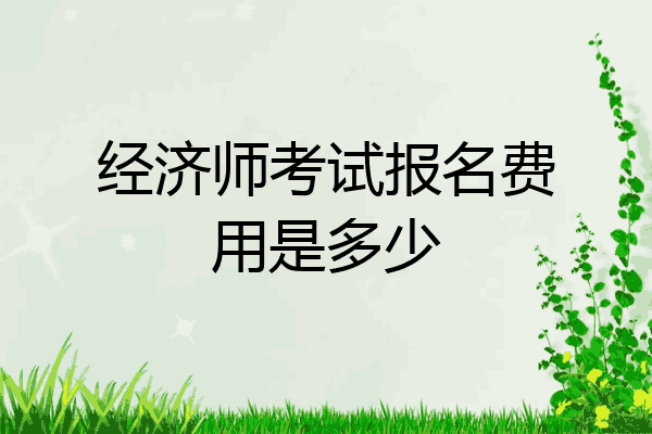 经济师考试报名费用是多少