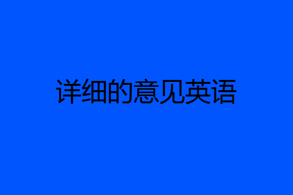 详细的意见英语