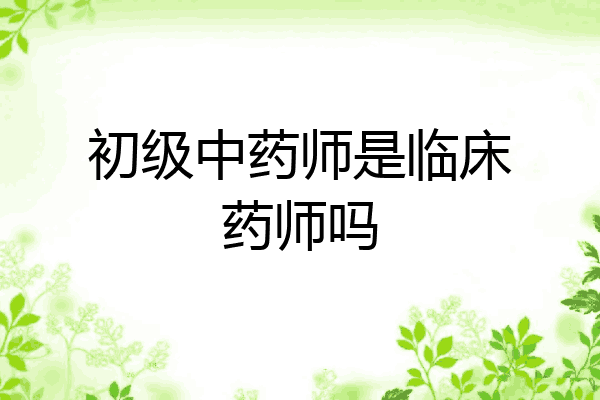初级中药师是临床药师吗