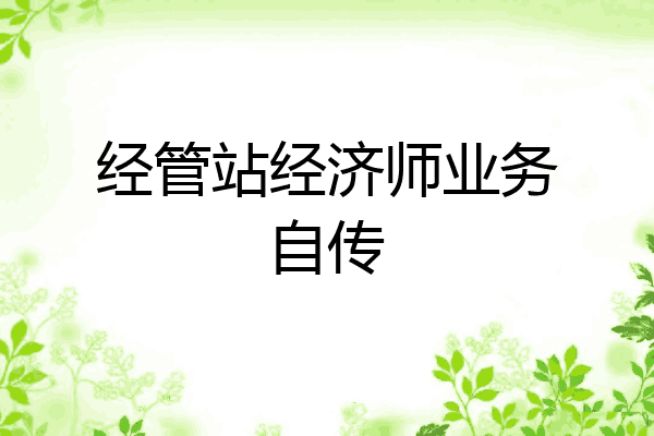 经管站经济师业务自传