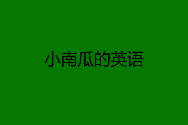 小南瓜的英语
