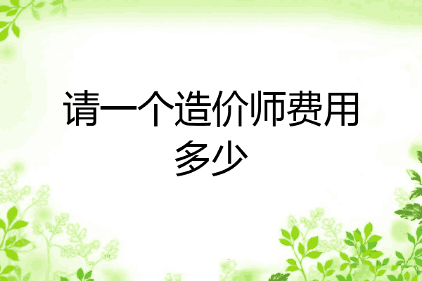请一个造价师费用多少