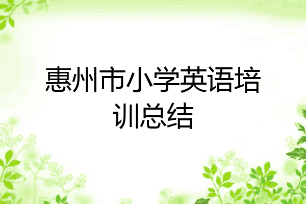 惠州市小学英语培训总结