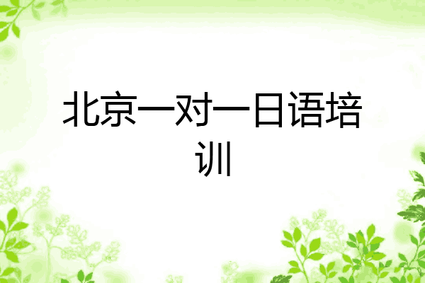 北京一对一日语培训