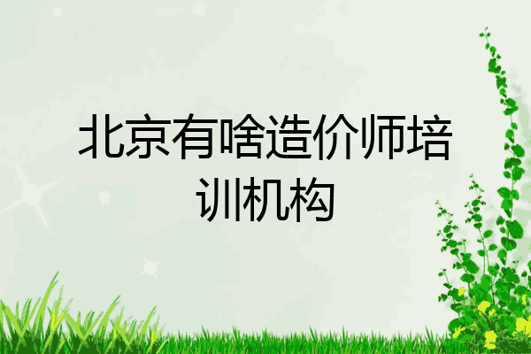 北京有啥造价师培训机构