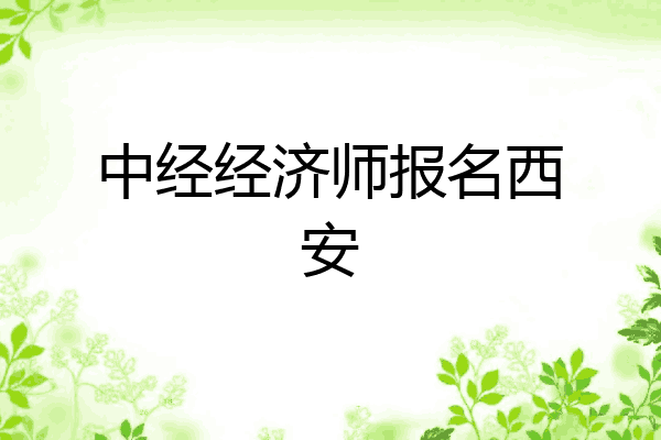 中经经济师报名西安