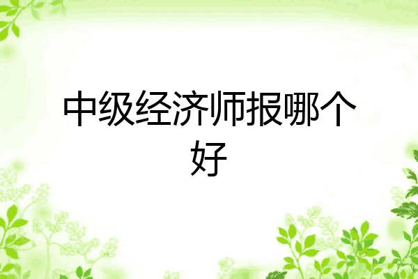 中级经济师报哪个好