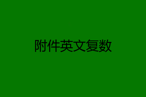 附件英文复数