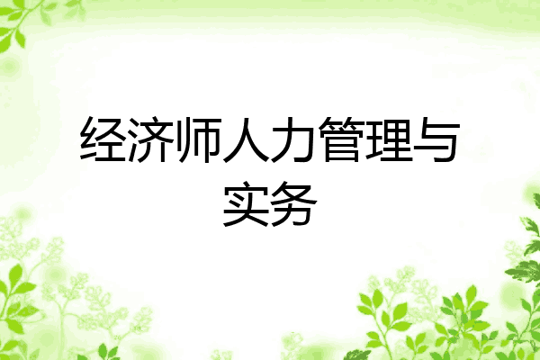 经济师人力管理与实务