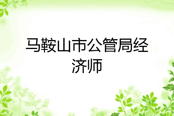 马鞍山市公管局经济师