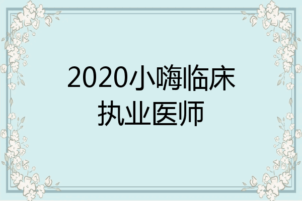2020小嗨临床执业医师