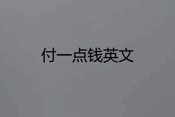 付一点钱英文