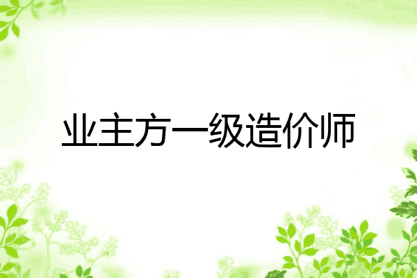 业主方一级造价师