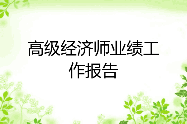高级经济师业绩工作报告