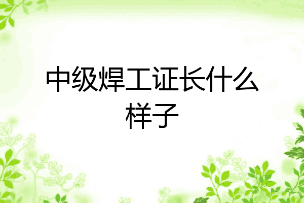 中级焊工证长什么样子